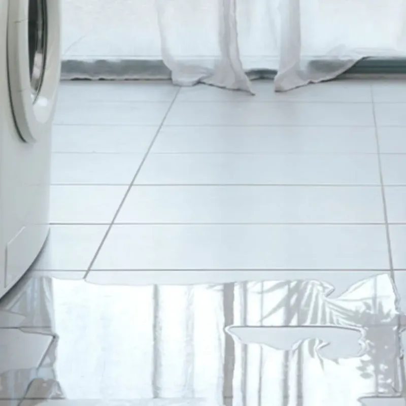 Appliance Leak Cleanup in Cannon Beach, OR
